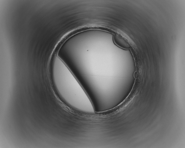X0000116620934200912110938