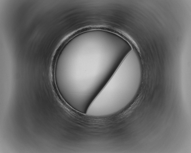 X0000116620935200912110938