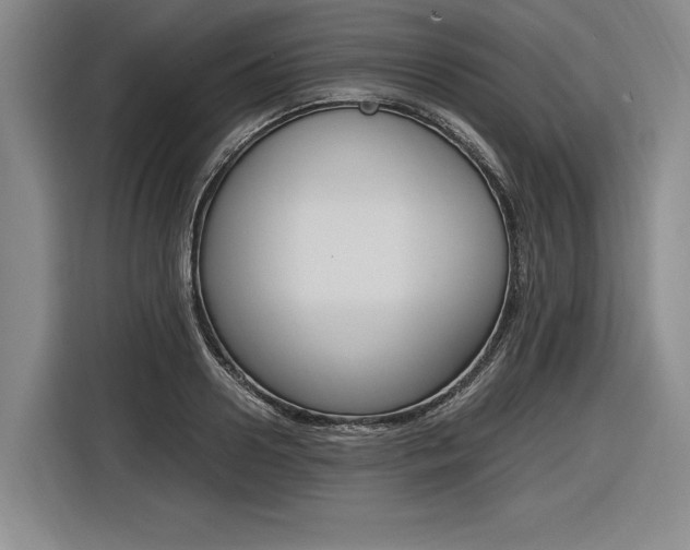 X0000116620938200912110938