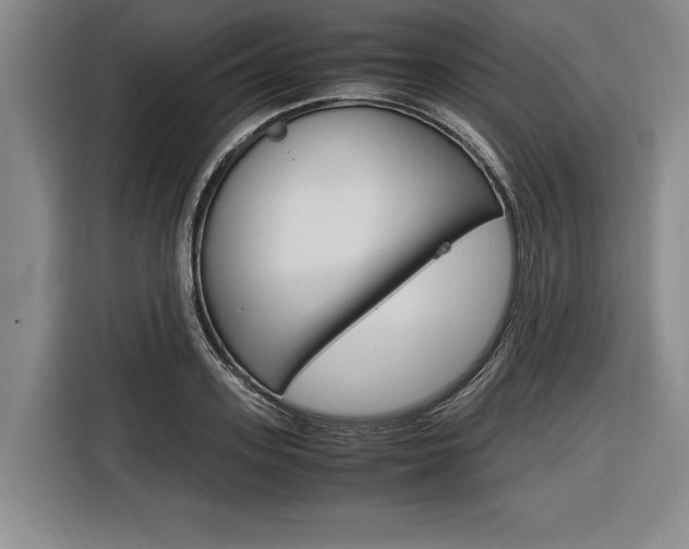 X0000116620939200912110938
