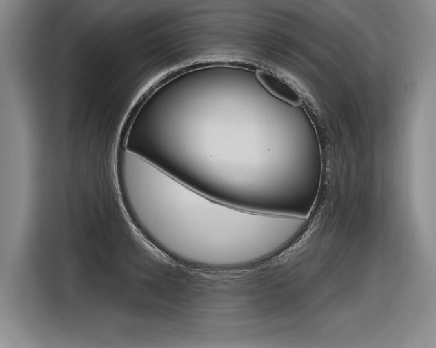 X0000116620942200912110938