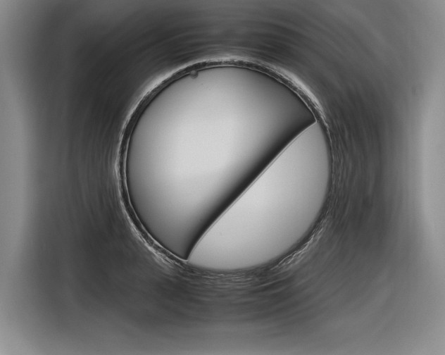 X0000116620943200912110938