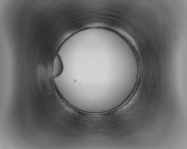 X0000116620945200912110938