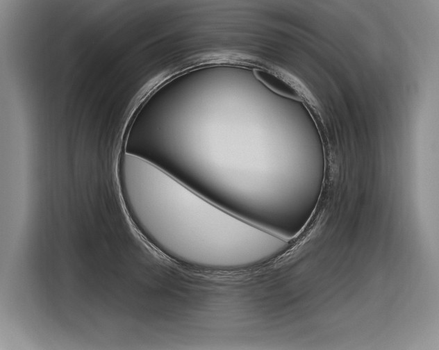 X0000116620946200912110938