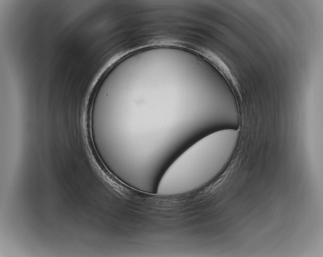 X0000116620947200912110938