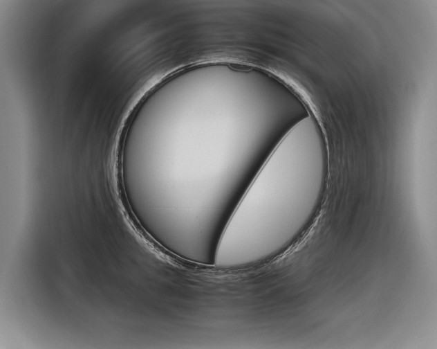 X0000116620949200912110938