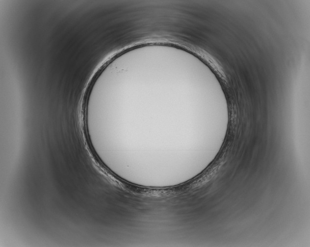 X0000116620950200912110938