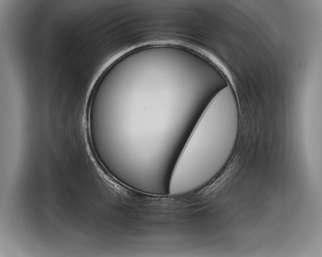 X0000116620951200912110938