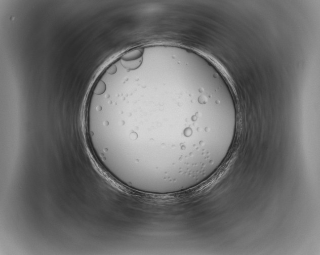 X0000116620957200912110938
