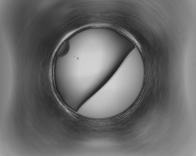 X0000116620959200912110938