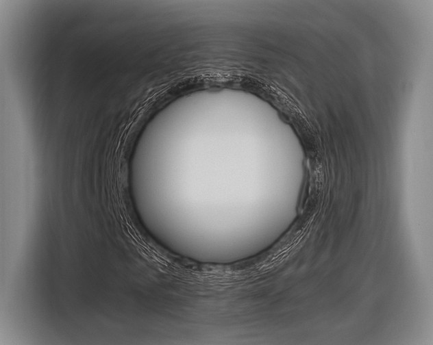 X0000116620961200912110937