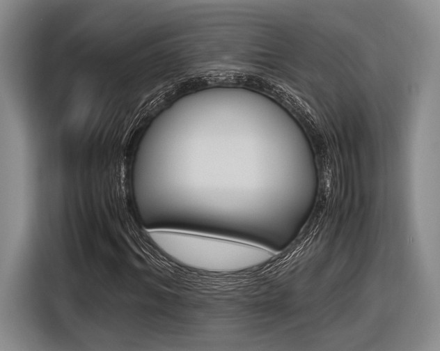 X0000116620964200912110937
