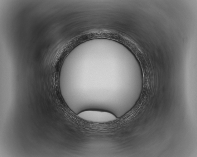 X0000116620966200912110937