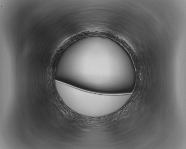 X0000116620968200912110937