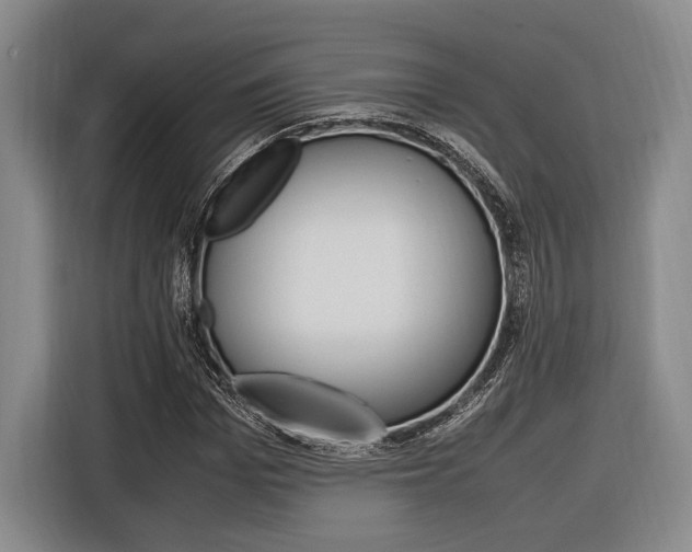 X0000116620969200912110937