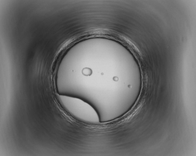 X0000116620970200912110937