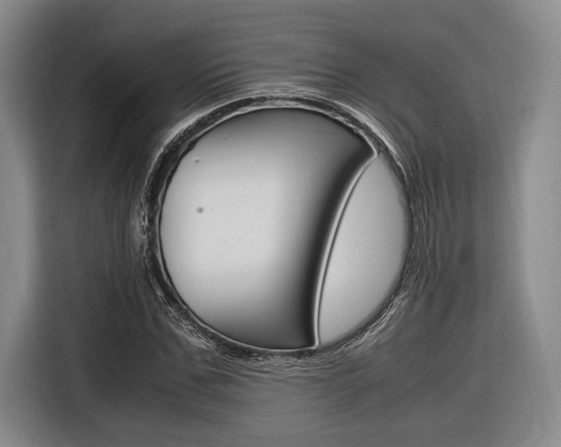 X0000116620971200912110937