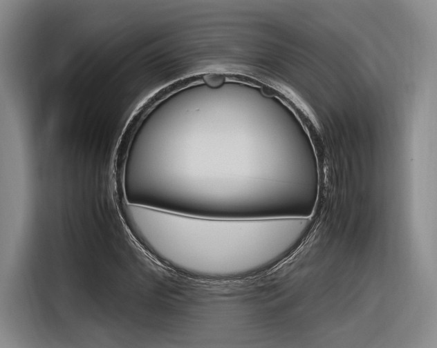 X0000116620972200912110937