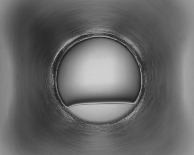 X0000116620973200912110937