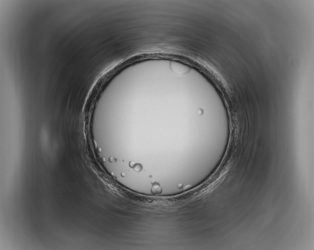X0000116620974200912110937