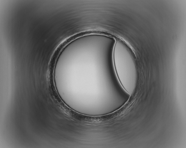 X0000116620975200912110937