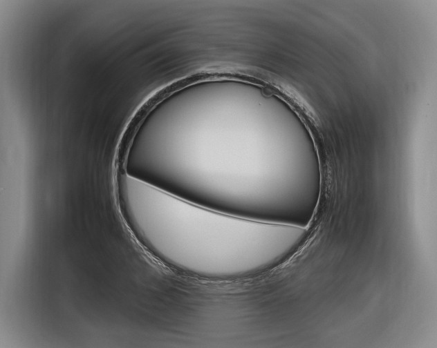 X0000116620976200912110937