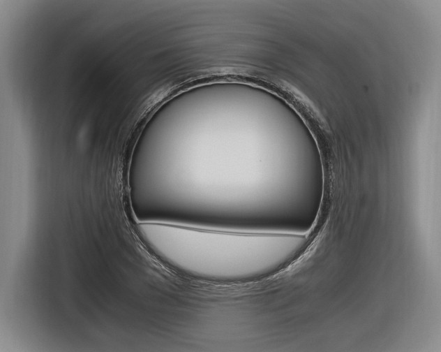 X0000116620977200912110937