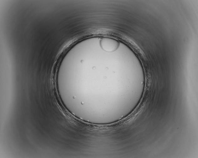 X0000116620978200912110937