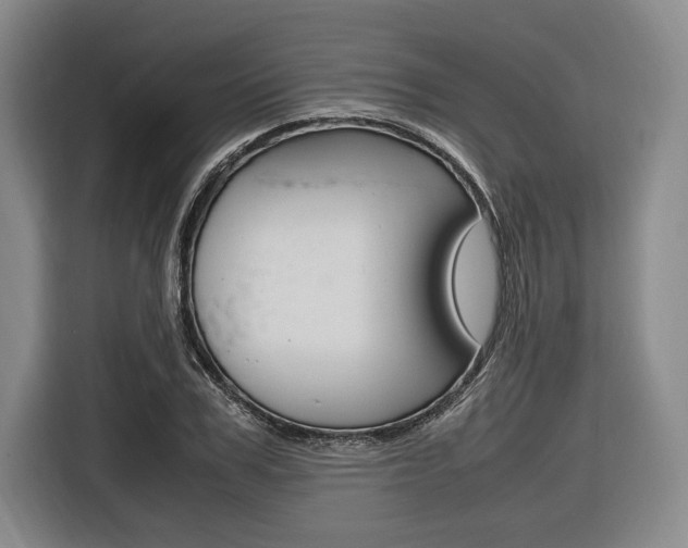X0000116620979200912110937