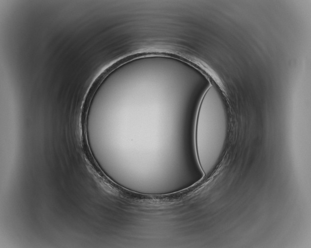 X0000116620980200912110937