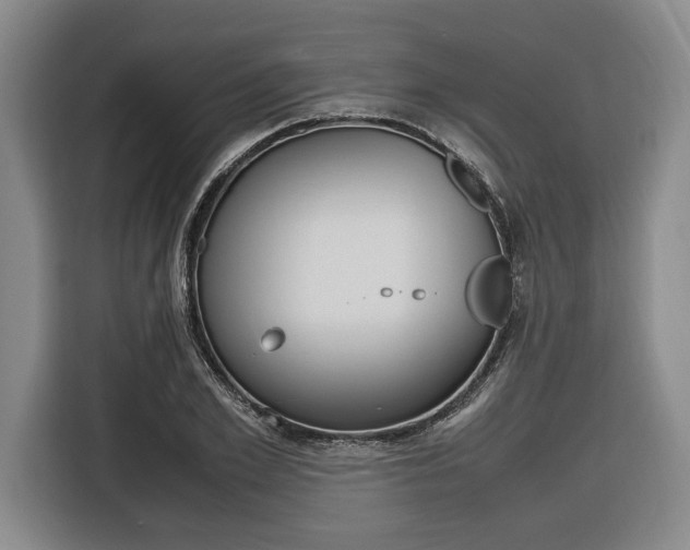 X0000116620981200912110937