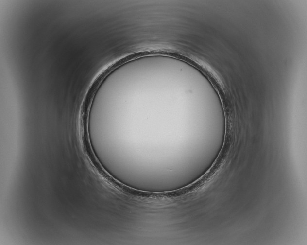 X0000116620983200912110937
