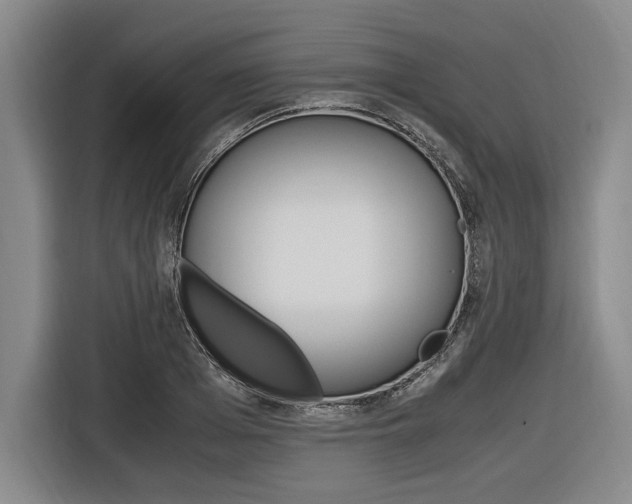 X0000116620985200912110937