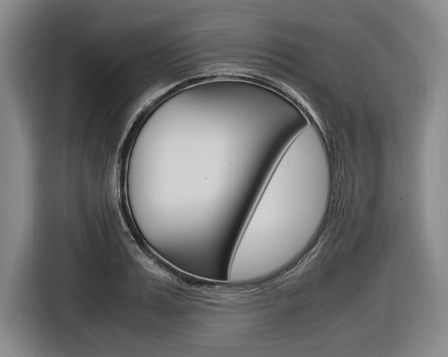 X0000116620987200912110937