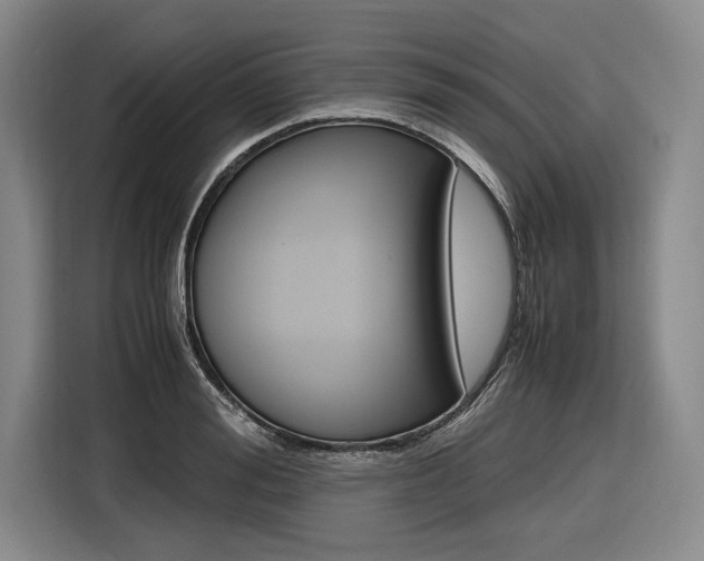 X0000116620988200912110937