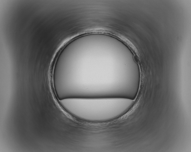 X0000116620989200912110937