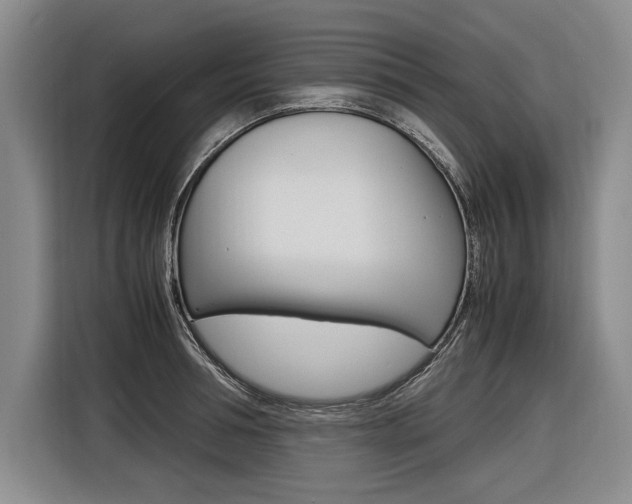 X0000116620994200912110937