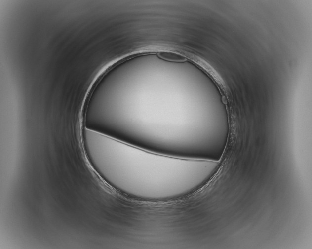 X0000116620996200912110937