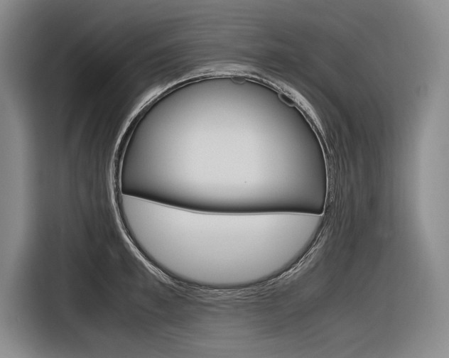 X0000116620997200912110937
