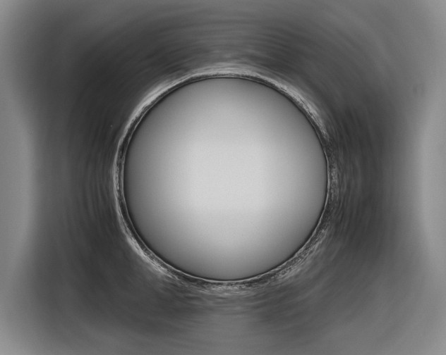 X0000116620998200912110937