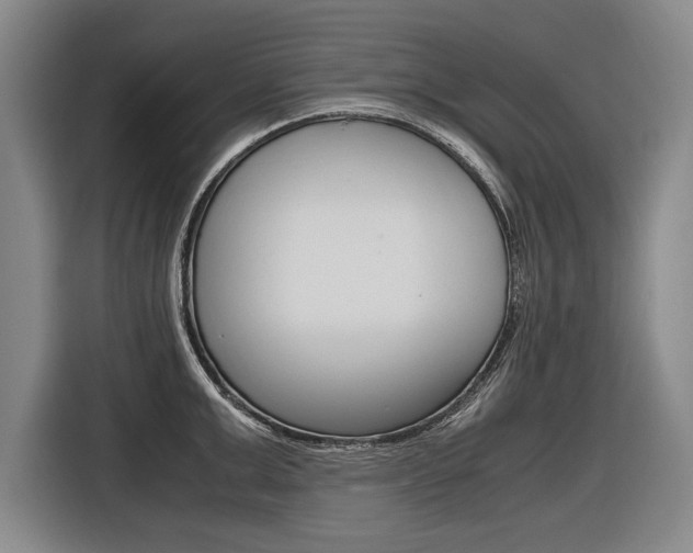 X0000116620999200912110937