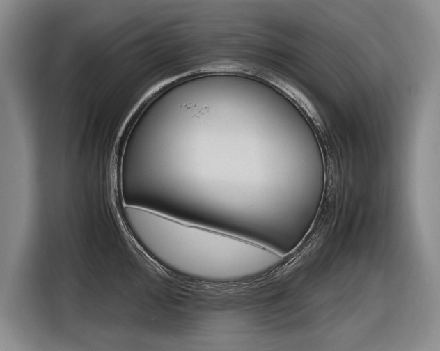 X0000116621000200912110937