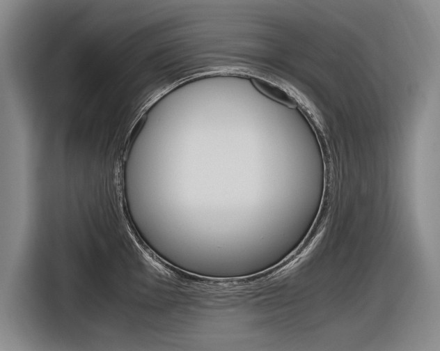 X0000116621001200912110937