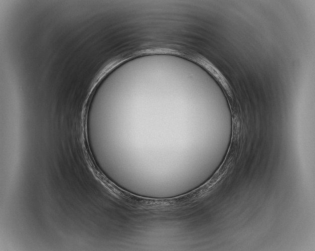 X0000116621002200912110937