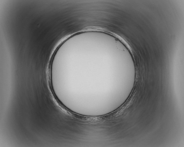 X0000116621003200912110937