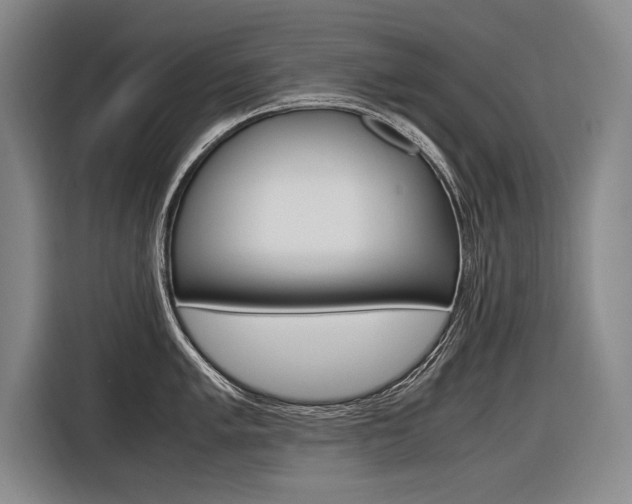 X0000116621005200912110937