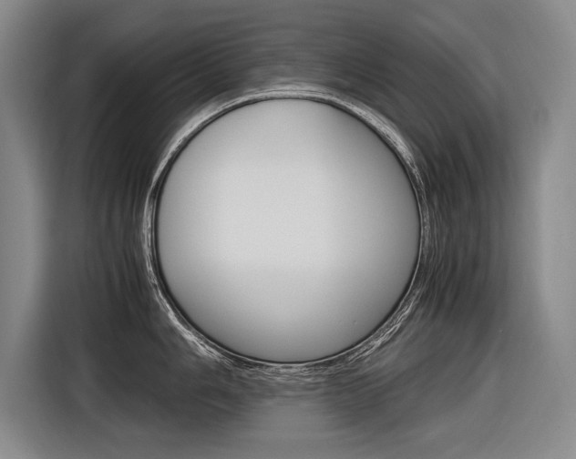 X0000116621006200912110937