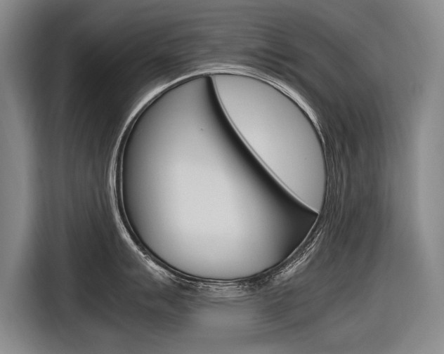 X0000116621007200912110937