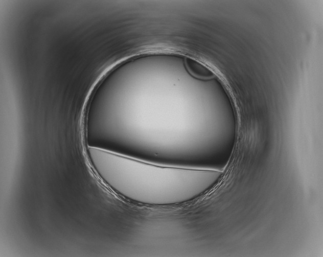 X0000116621008200912110937