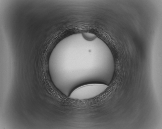 X0000116621009200912110936